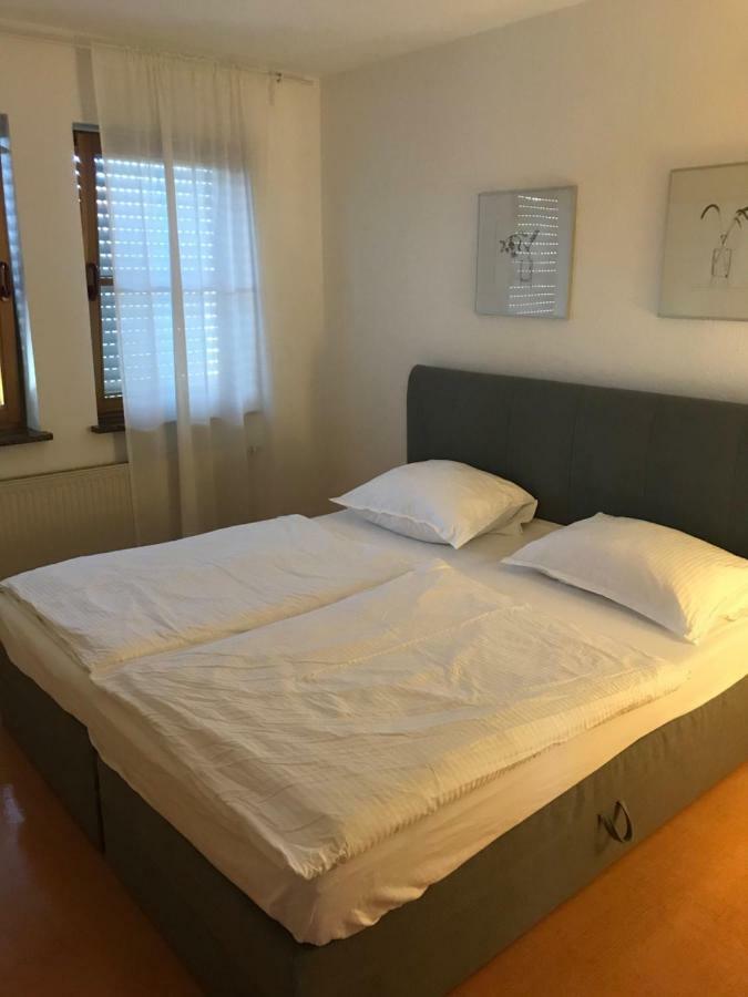 Apartment Roxheim Zewnętrze zdjęcie